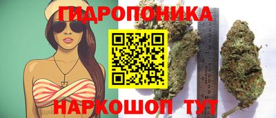 ПСИЛОЦИБИНОВЫЕ ГРИБЫ Ликино-Дулёво
