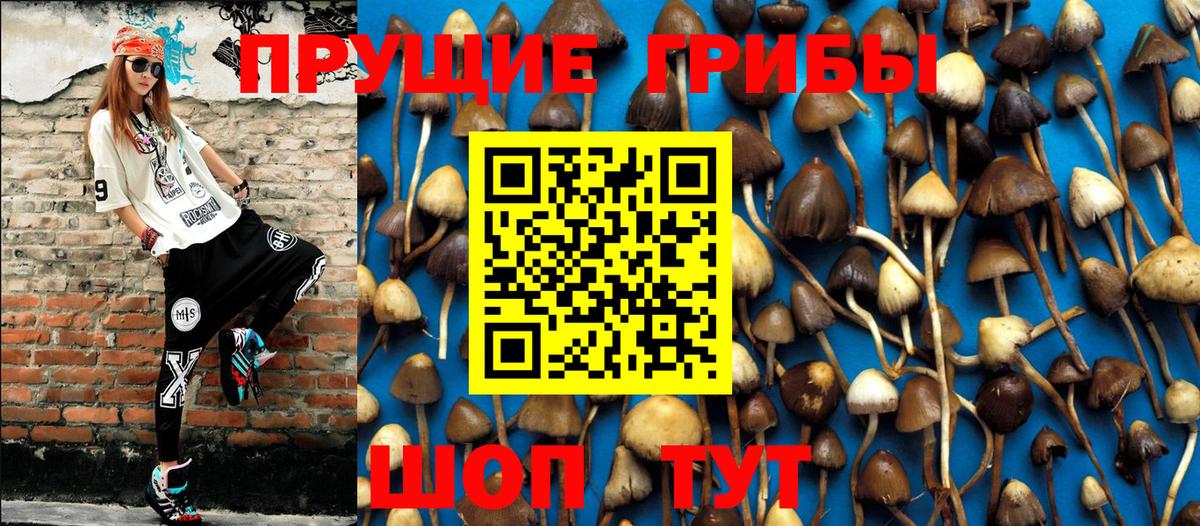 Якутск  Псилоцибиновые грибы MAGIC MUSHROOMS  Вход с VPN 